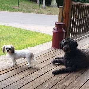 Meet your Posher, Brian